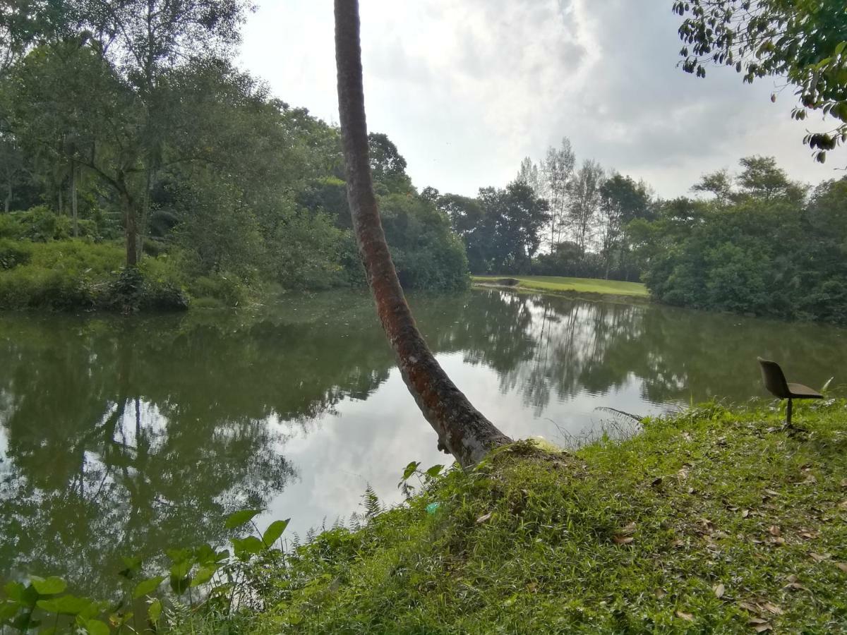 Janaview Taiping Hotel Экстерьер фото